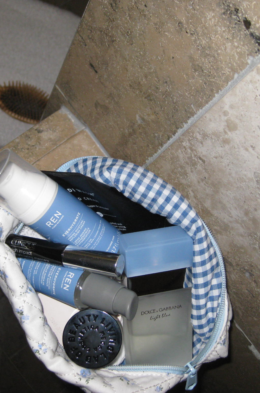 Forget Me Not Cosmetic Bag